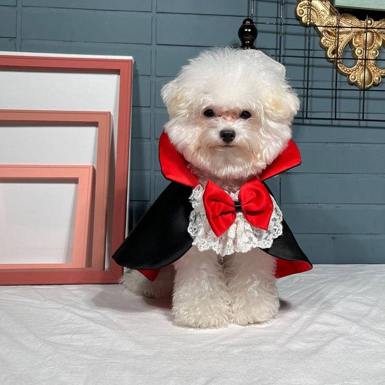 Pet Vampire Cloak Halloween Costume