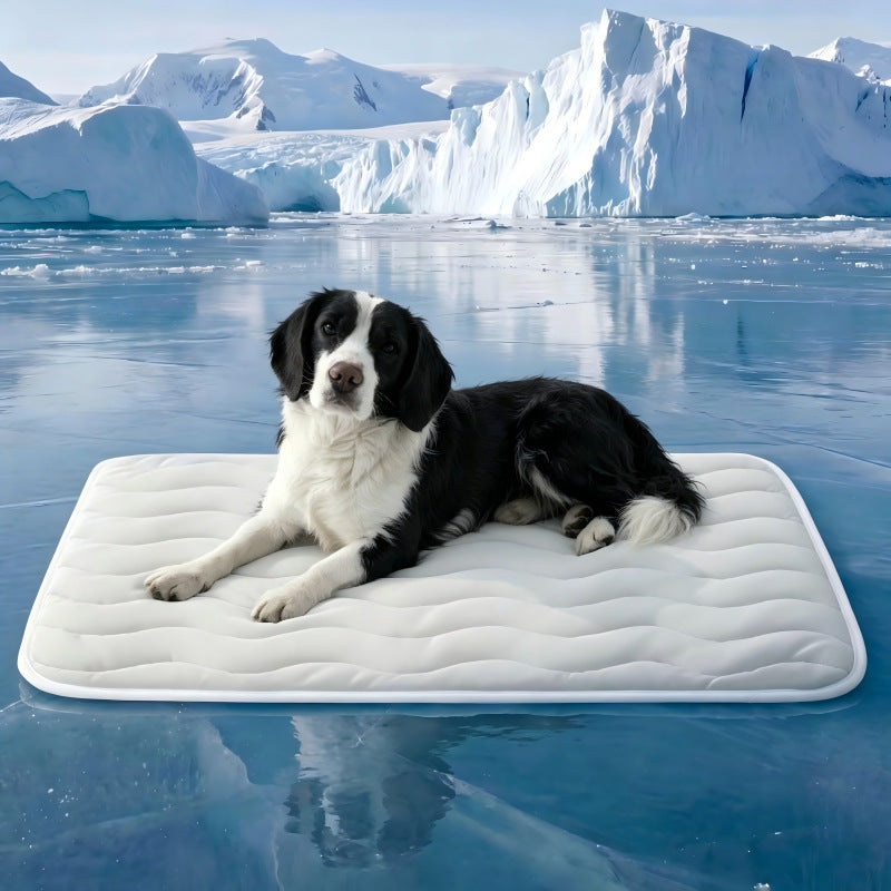 Pet Bed Mat