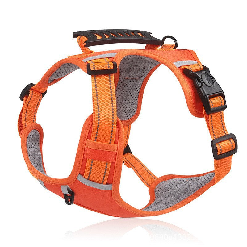 Adjustable Dog Harness and Leash Set
