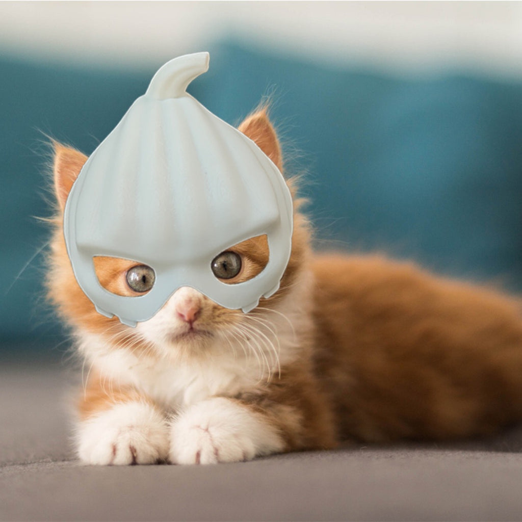 pet halloween mask