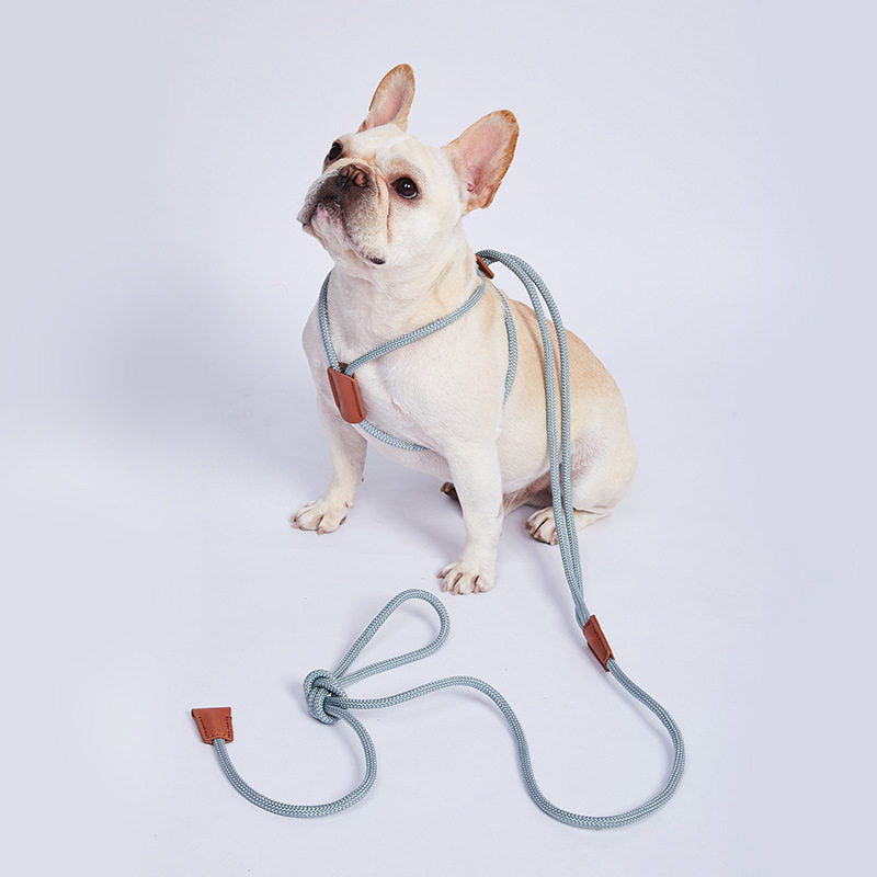 Adjustable Dog Harness and Leash for Walking