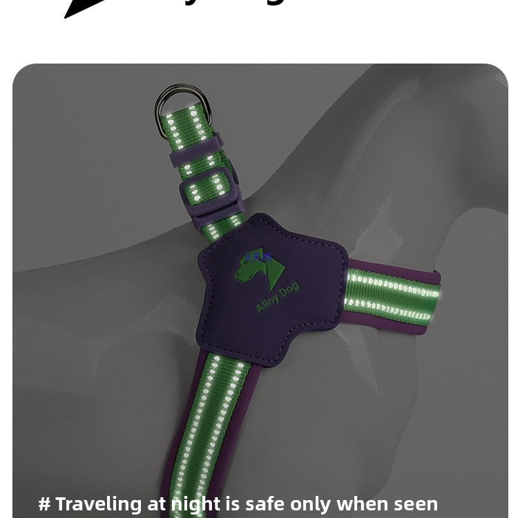 Adjustable Dog Harness and Leash Set