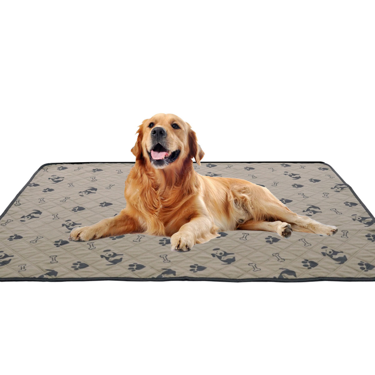 Pet urine pads can be washed and reused.
