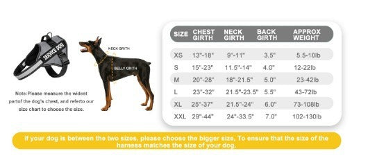Reflective Dog Harness and Leash Set