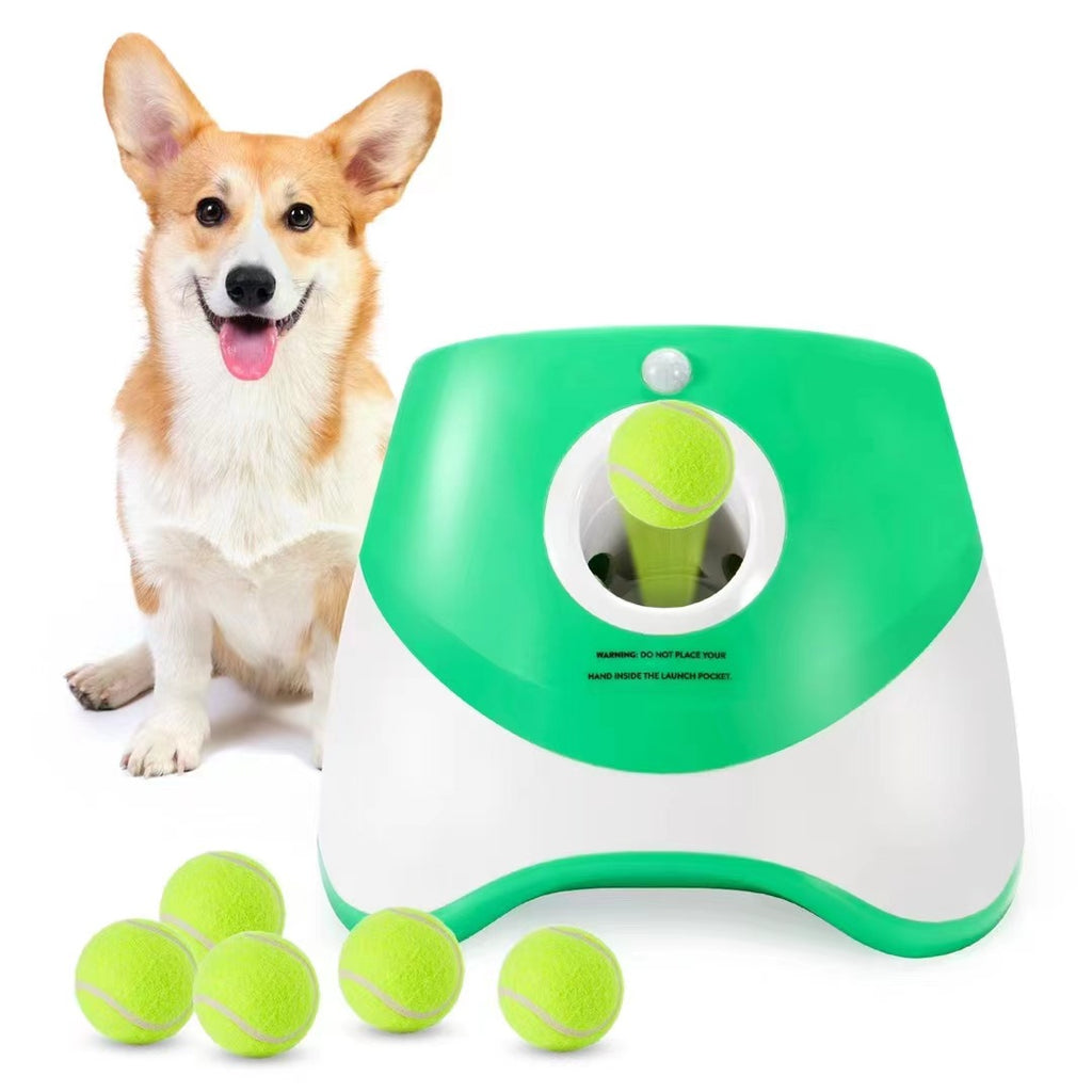 Pet Ball-Throwing Machine