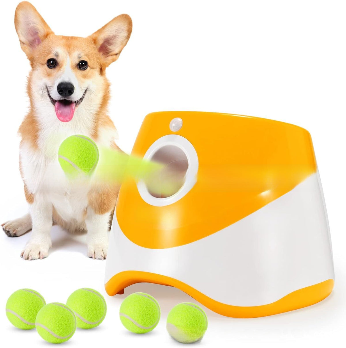 Pet Ball-Throwing Machine