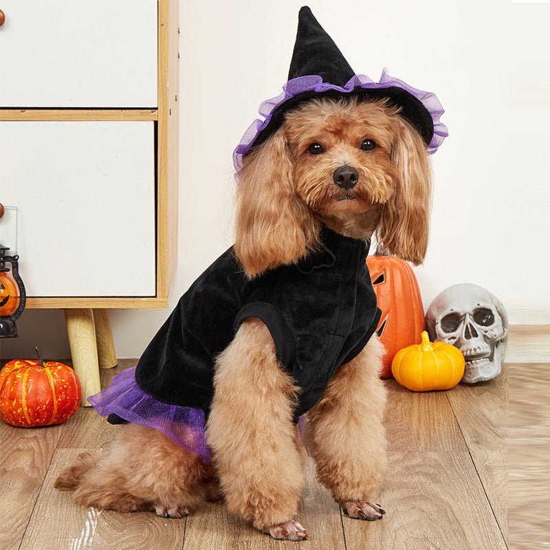 Wizard Pet Costume Halloween Dog Cat Outfit