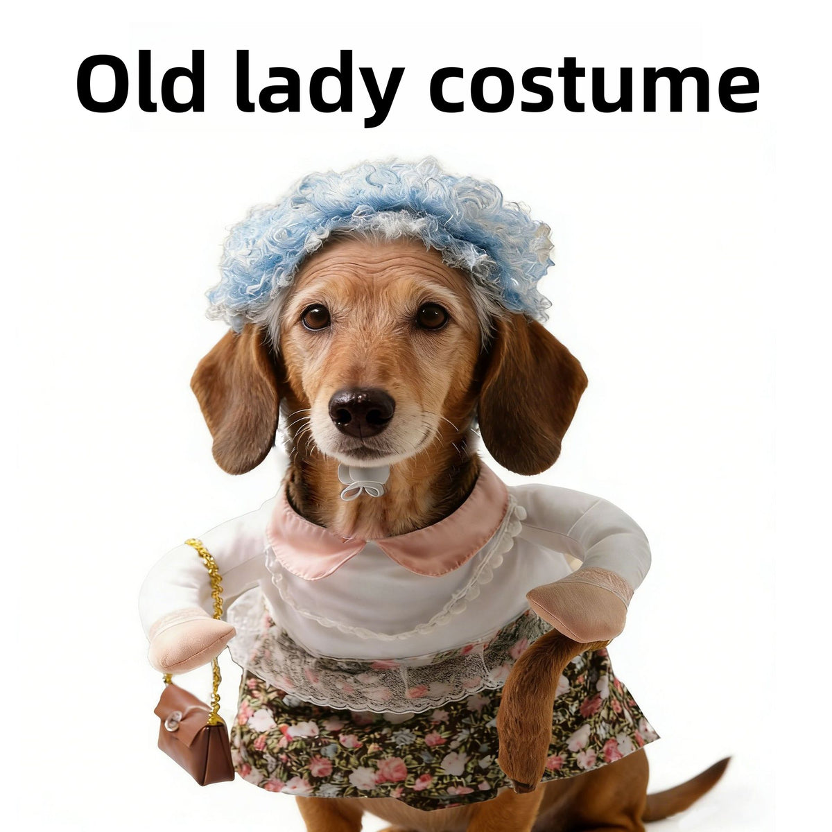 Funny Pet Halloween Costumes