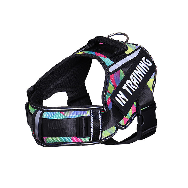 Reflective Adjustable Dog Harness and Leash Set
