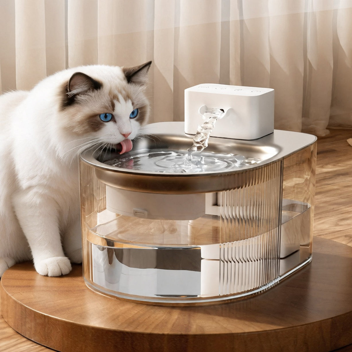 pet water dispenser