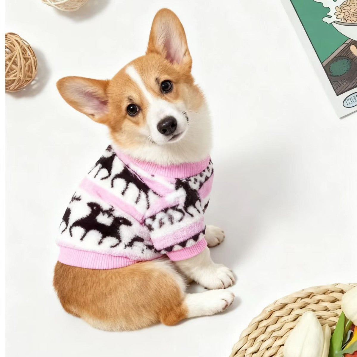 Christmas Printed Pet Clothes