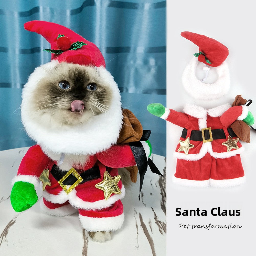 Funny Pet Halloween Costumes