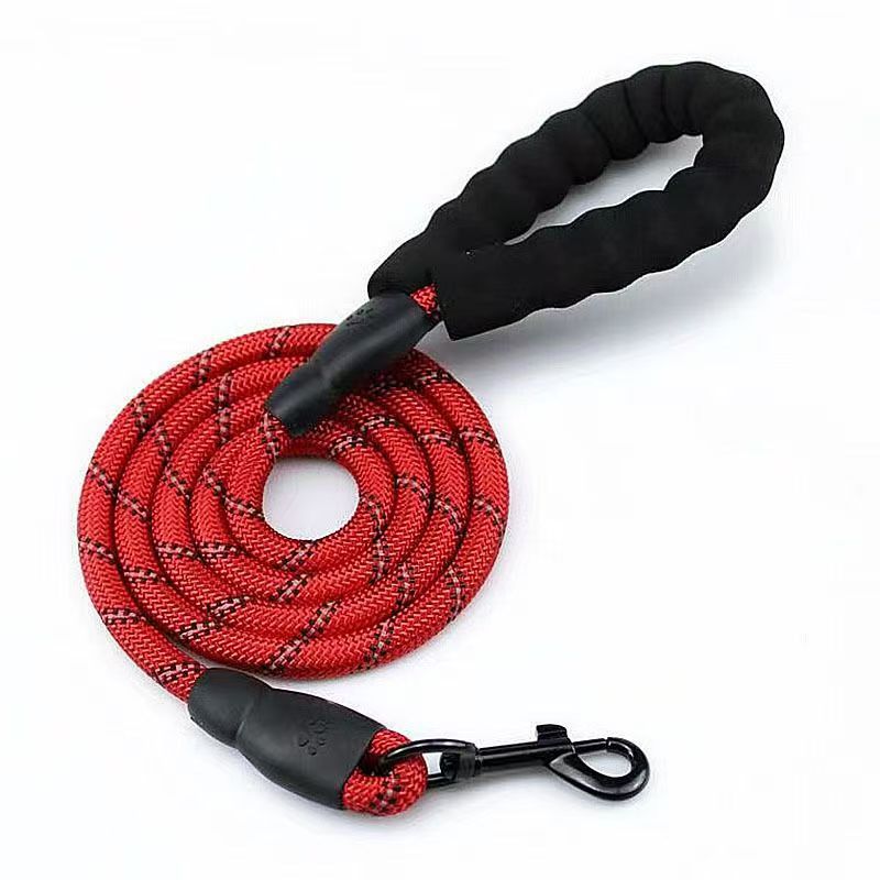 Adjustable Dog Harness and Leash Set