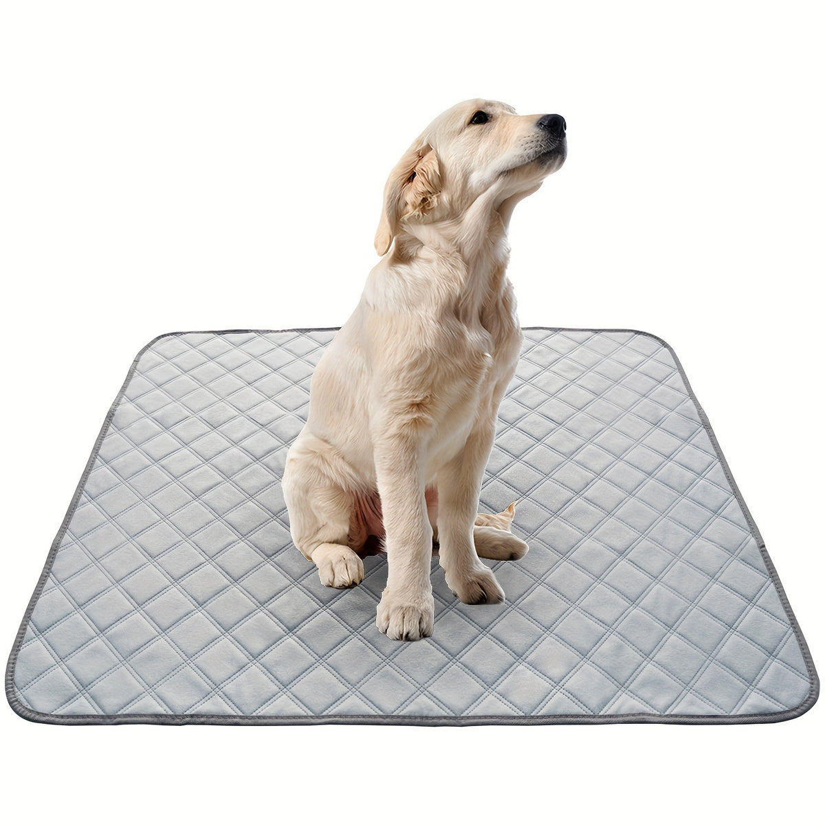 Pet urine pads can be washed and reused.