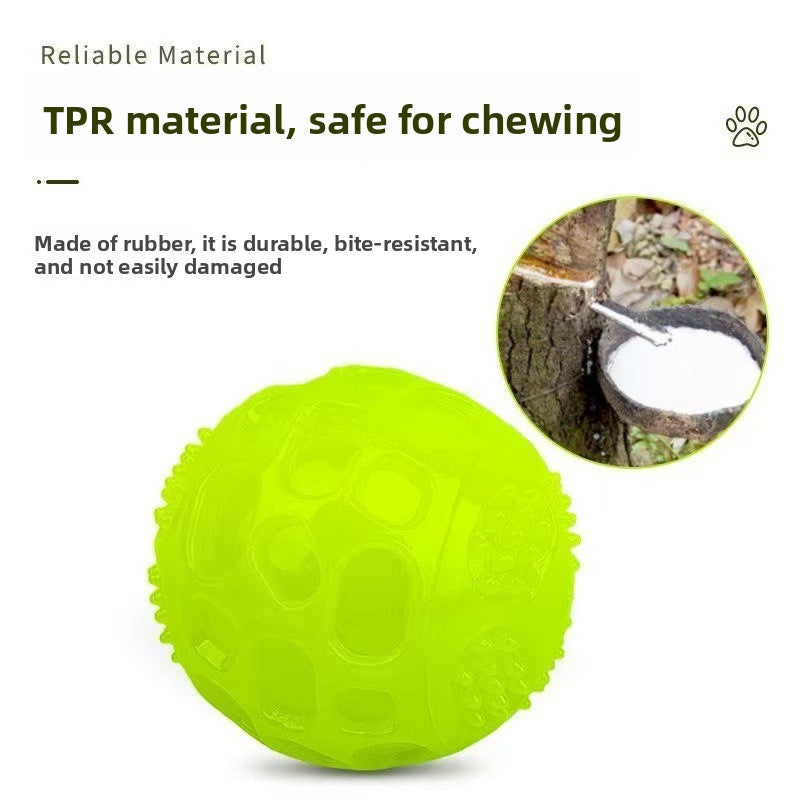 Luminous Sound Making Pet Chew Ball