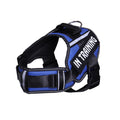 Reflective Adjustable Dog Harness and Leash Set