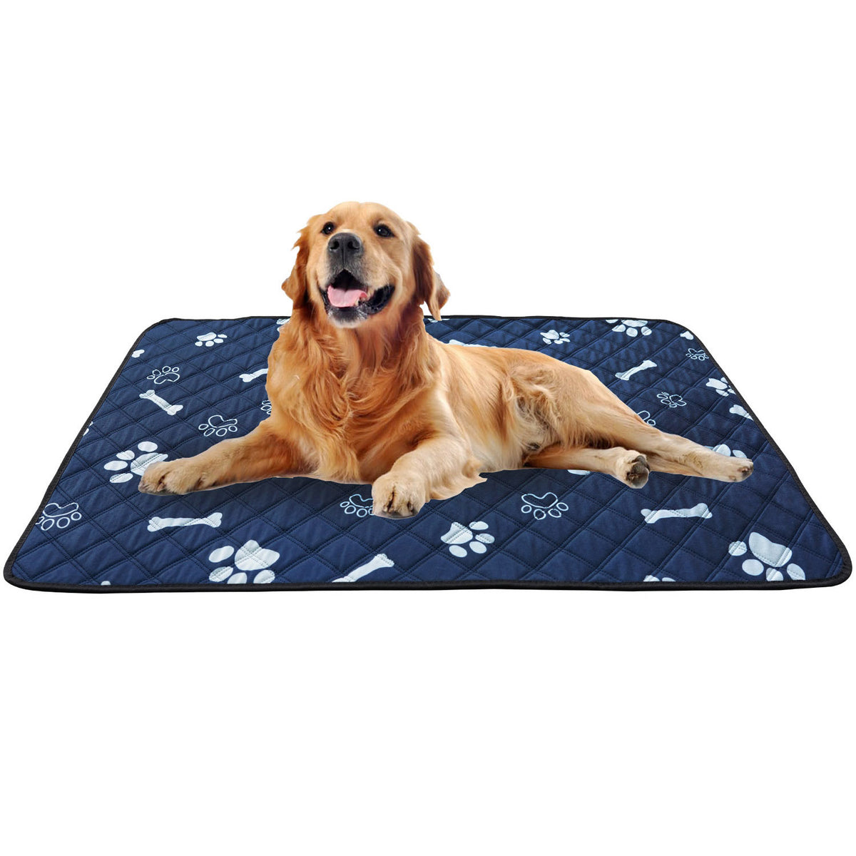 Pet urine pads can be washed and reused.
