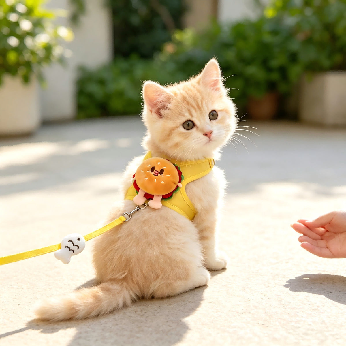 Cute Hamburger Toast Design Pet Leash Integrated Chest Harness for Small Medium Dogs Cats