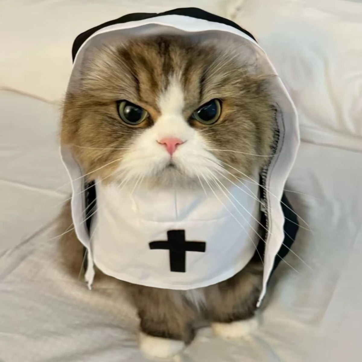 Gothic Pet Nun Costume Halloween Cloak