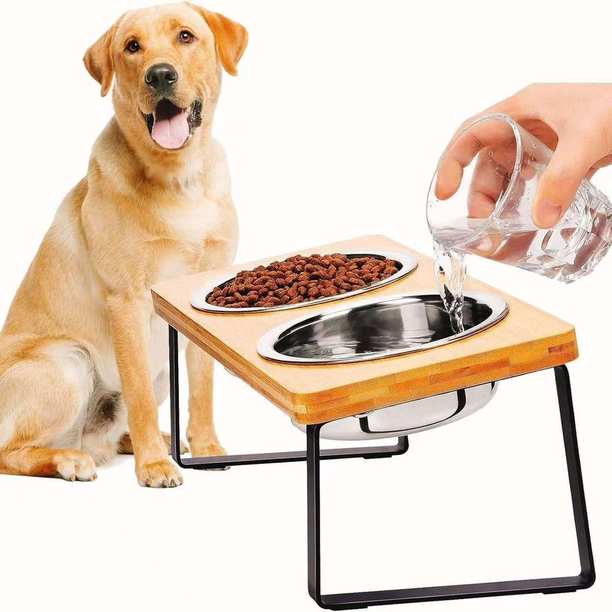 pet bowl cat bowl small dog bowl