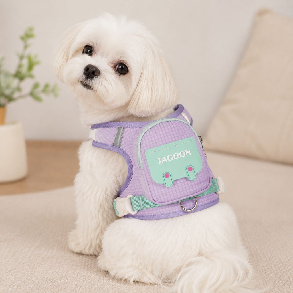 Pet Harness Leash