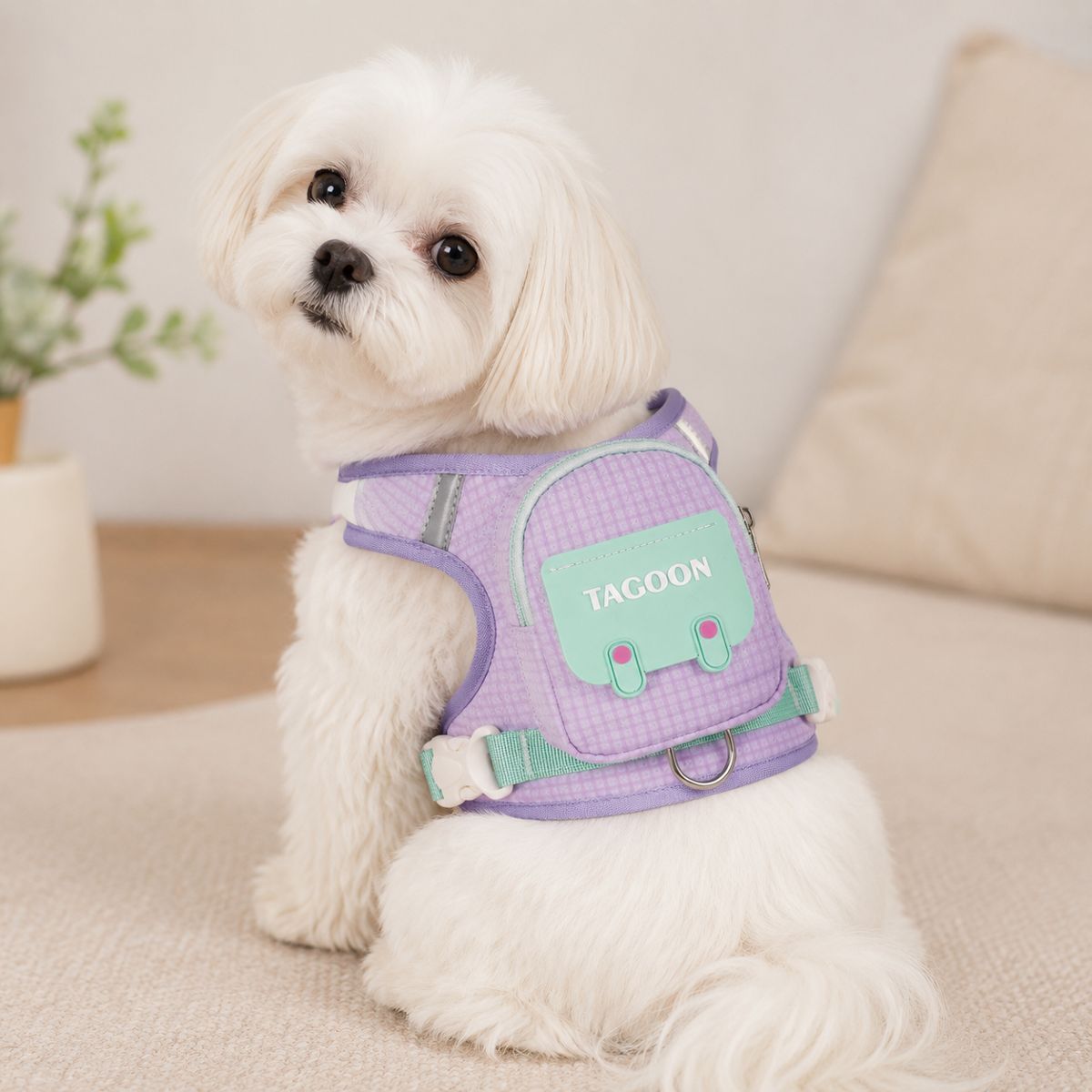 Pet Harness Leash