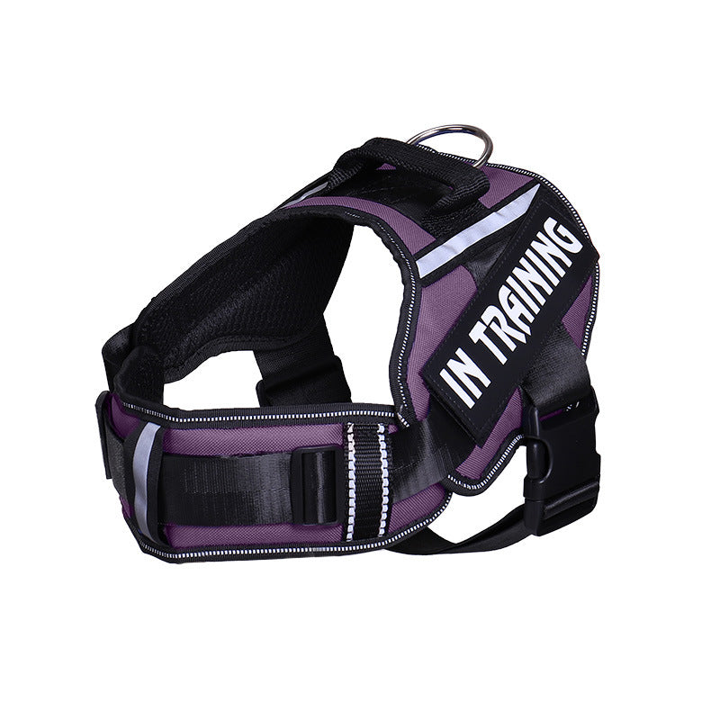 Reflective Adjustable Dog Harness and Leash Set