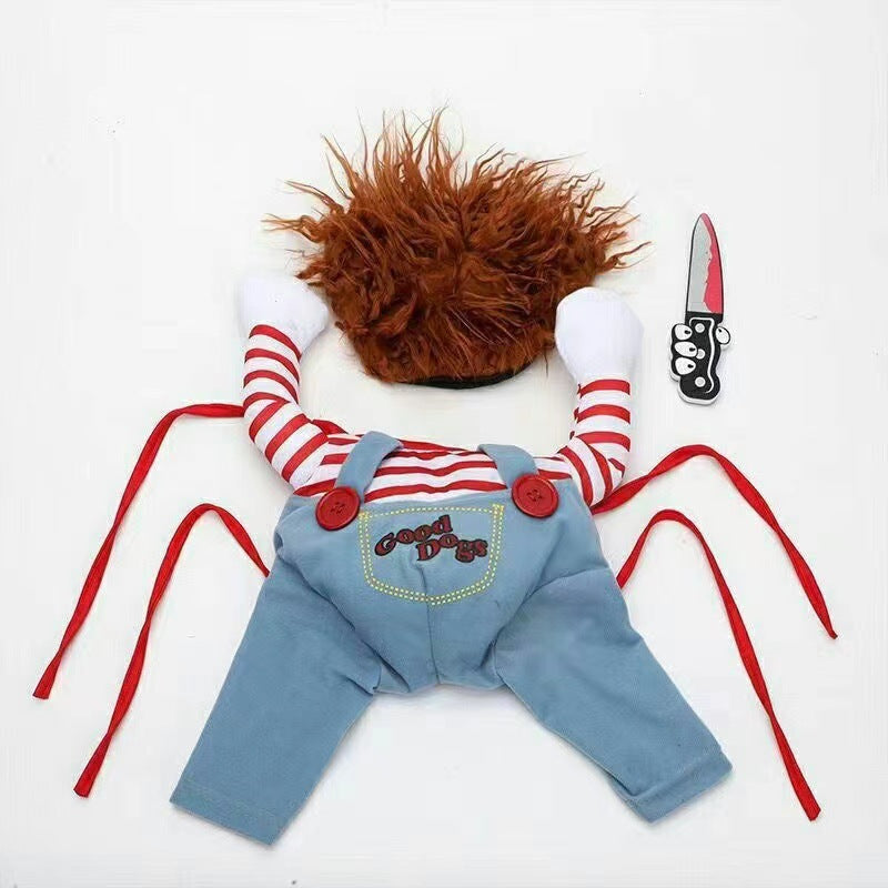 Pet costume