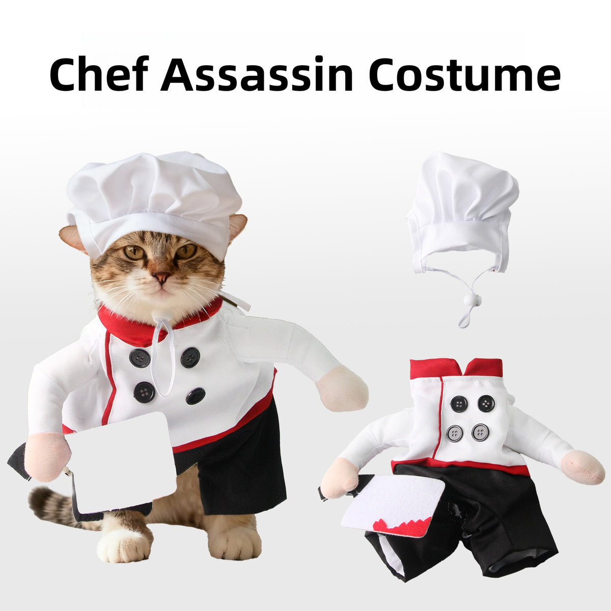 Funny Pet Halloween Costumes