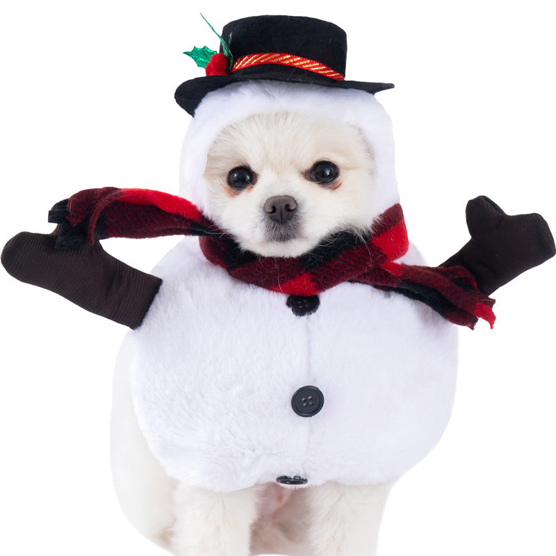 Funny Pet Halloween Costume Dress