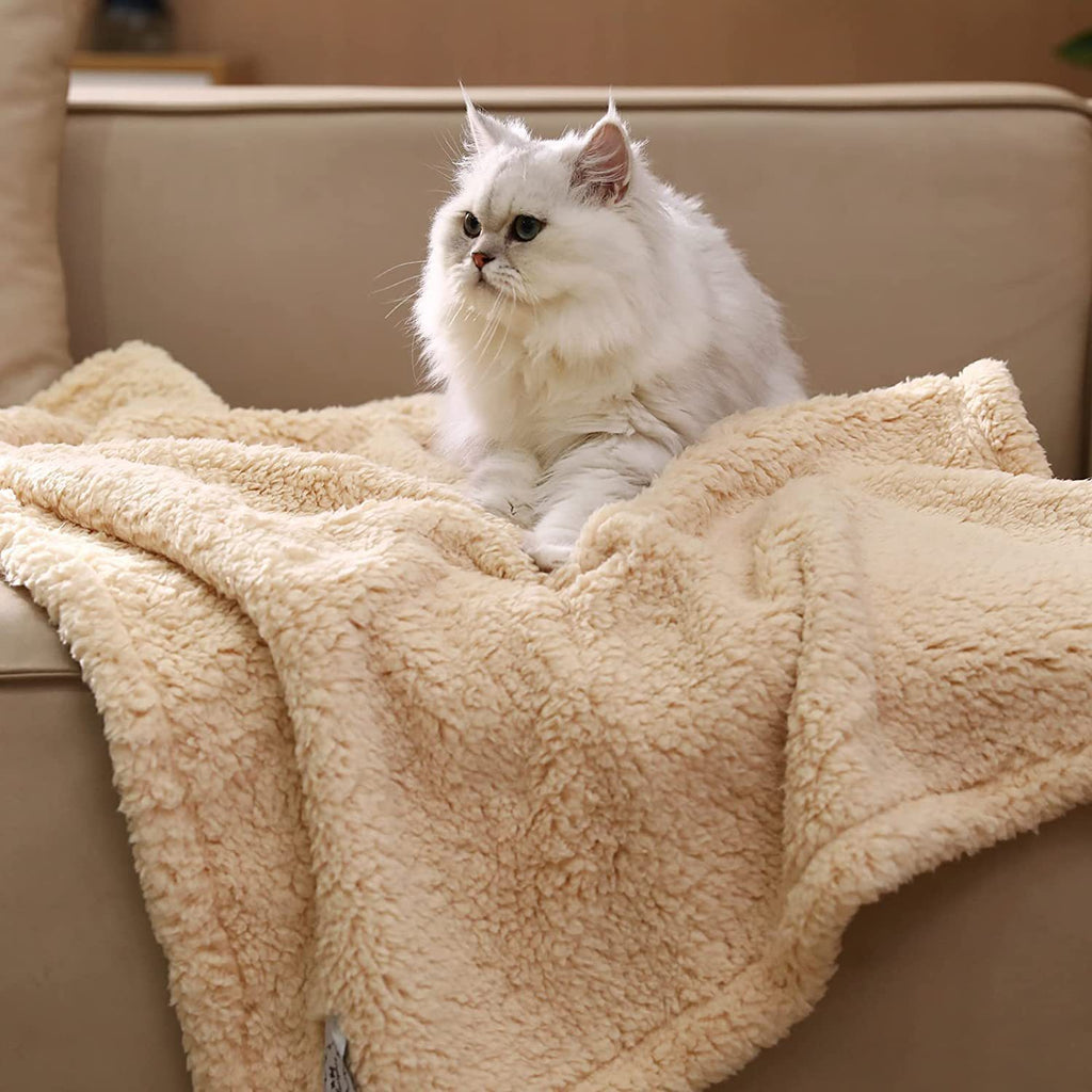 Soft cotton double-sided pet blanket