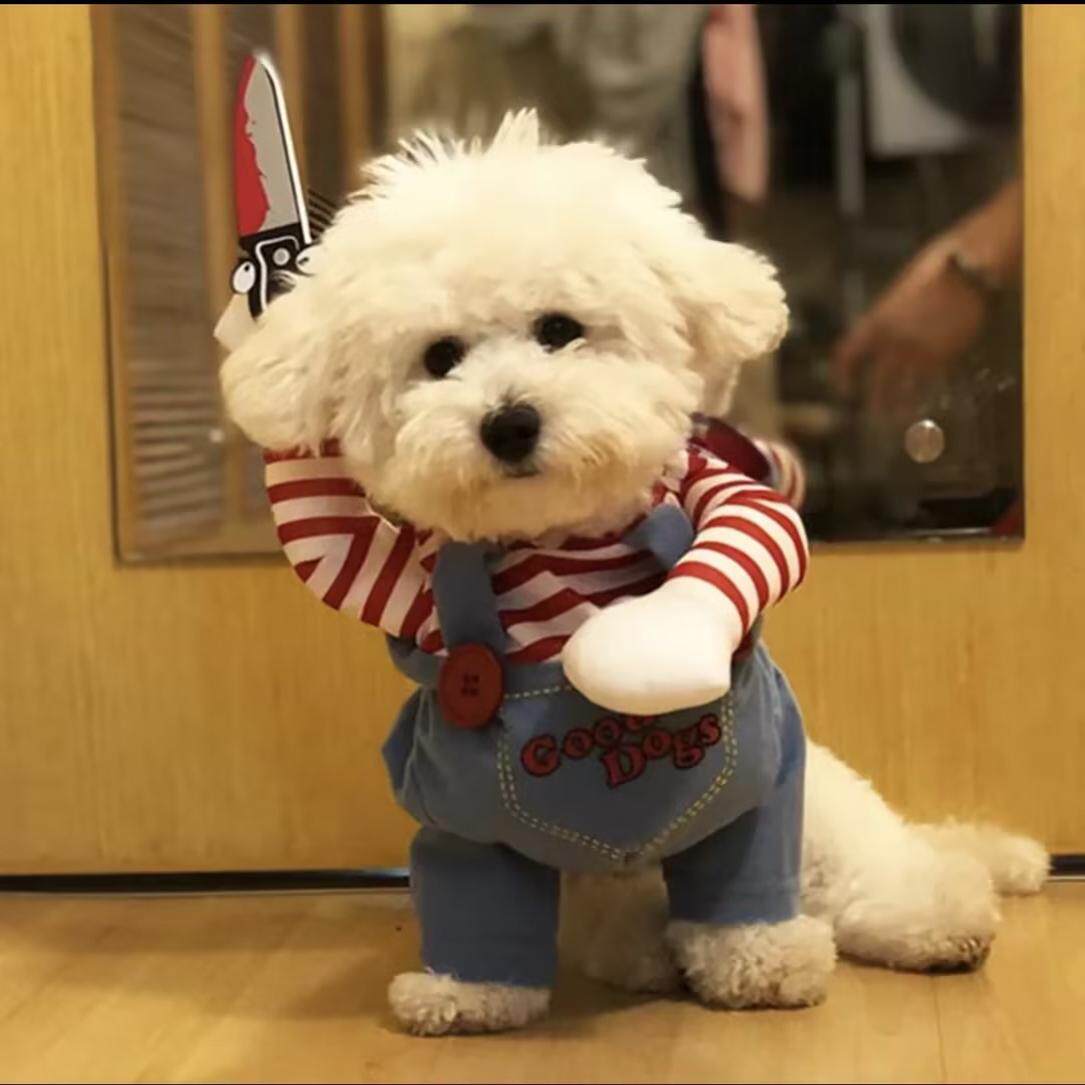 Pet Costume