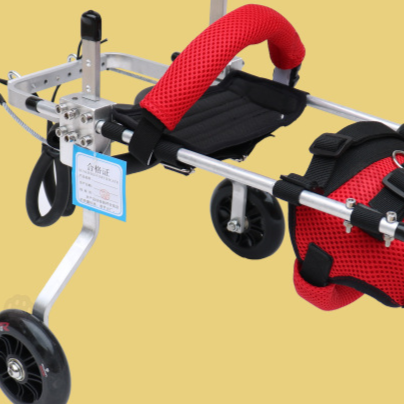 Pet little cat wheelchair