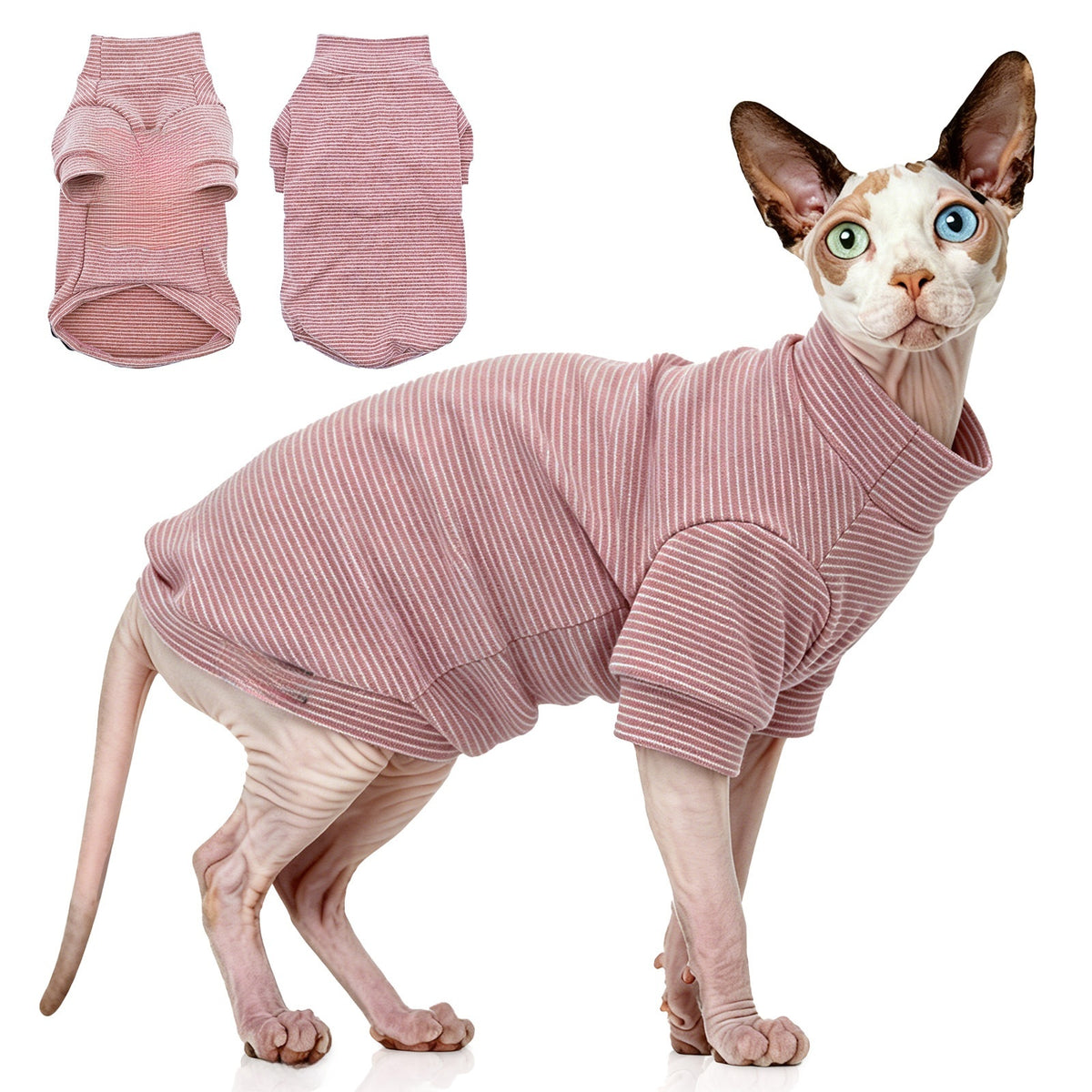 Pet Clothing