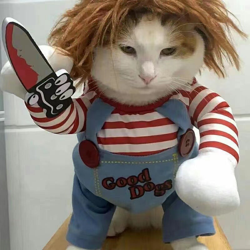 Pet costume