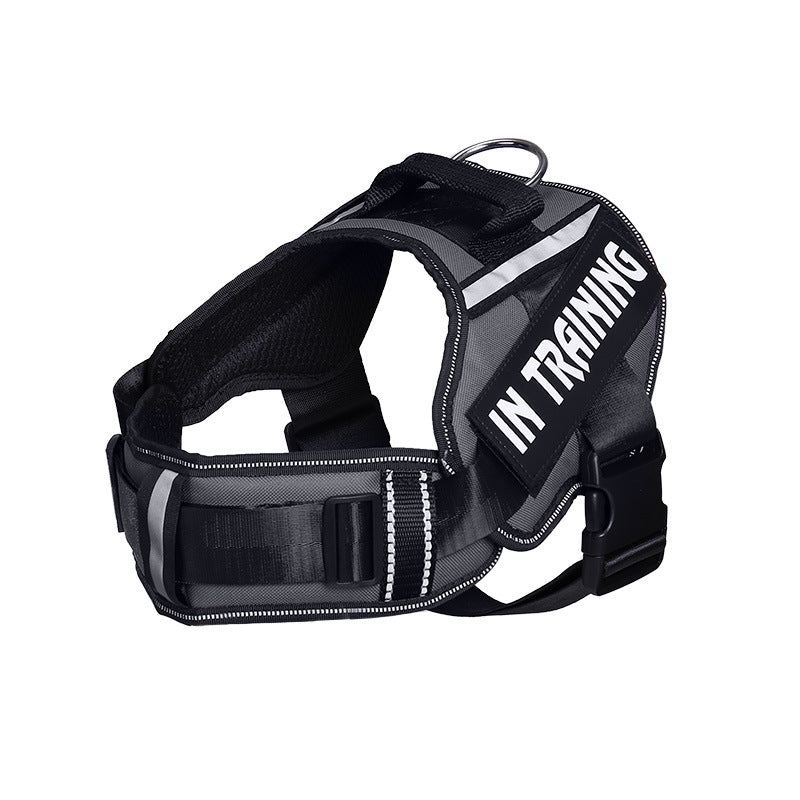 Reflective Adjustable Dog Harness and Leash Set