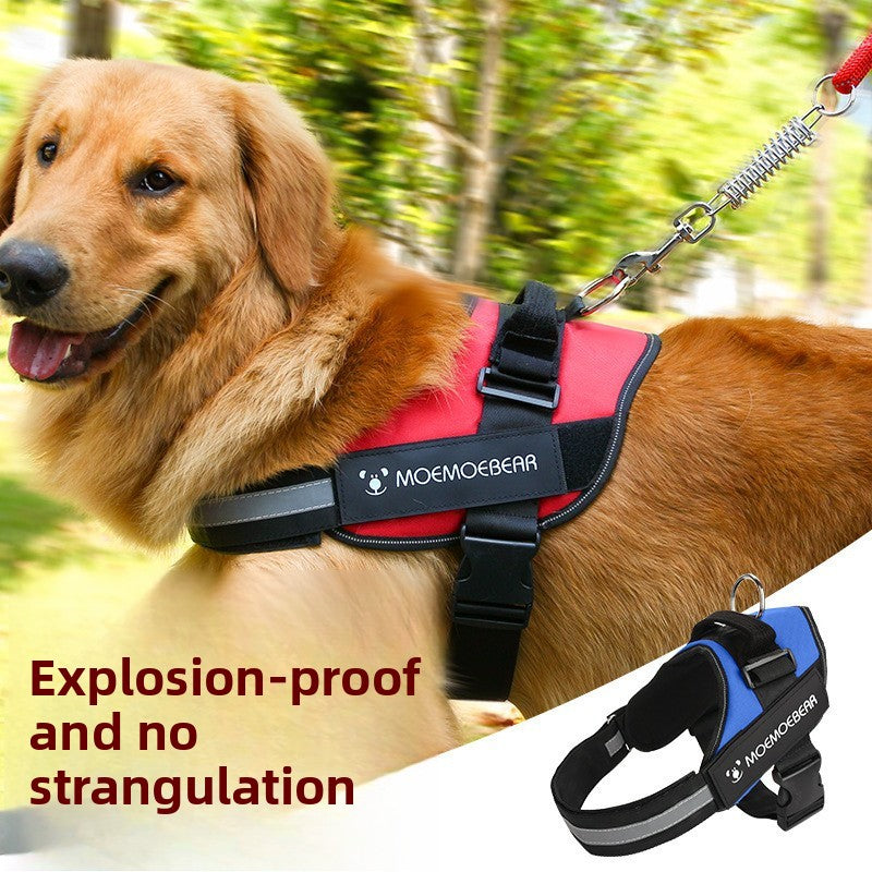 Pet Harness Leash