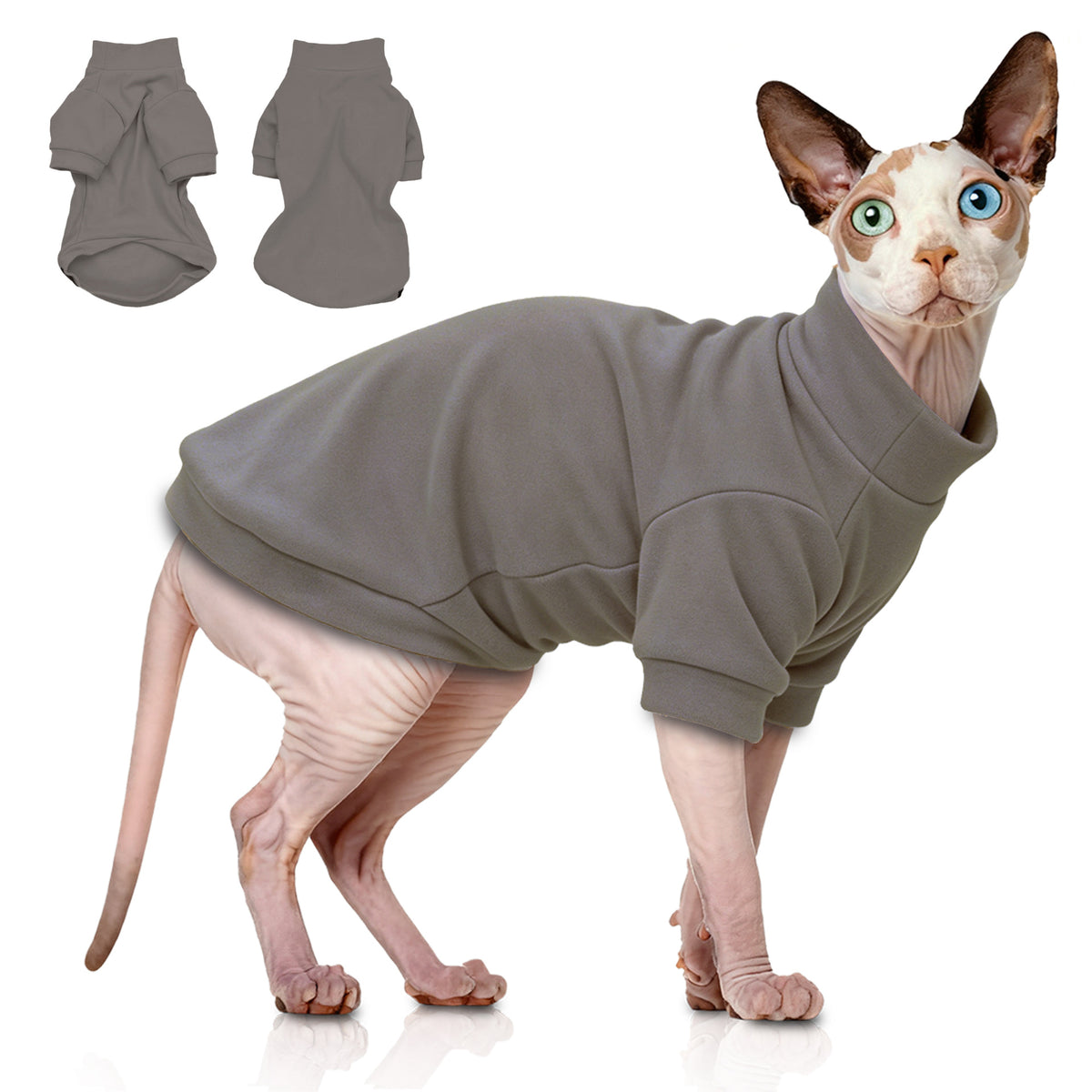 Pet Clothing