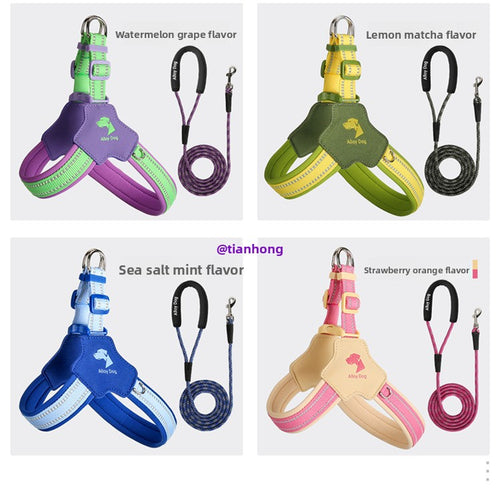 Adjustable Dog Harness and Leash Set