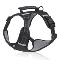 Adjustable Dog Harness and Leash Set