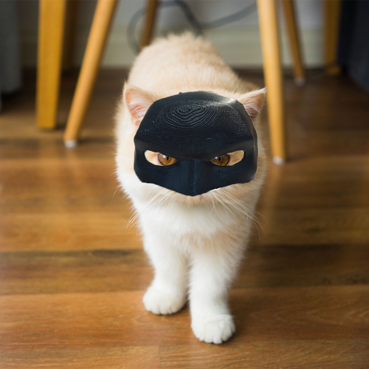 pet halloween mask