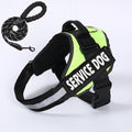 Adjustable Pet Dog Harness and Leash Set