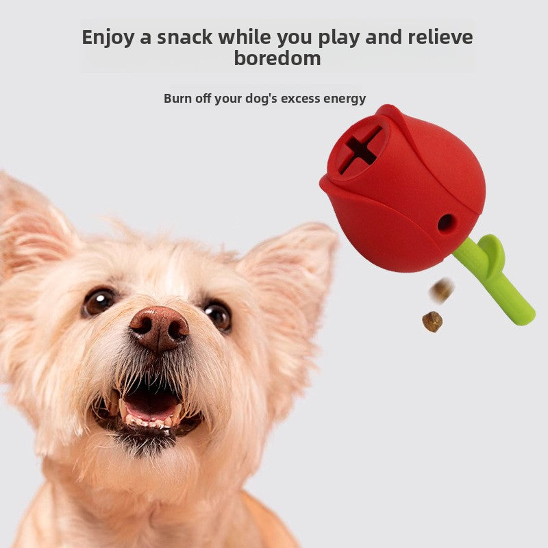 Pet Dental Chew Toy with Leakage Ball