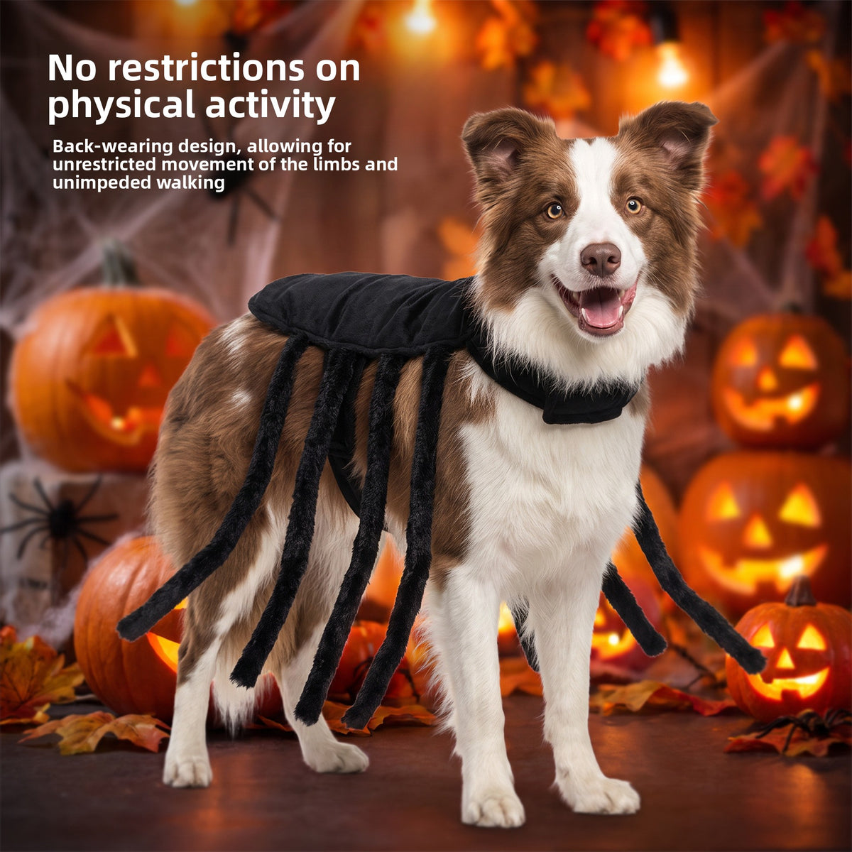 Pet Harness Costume