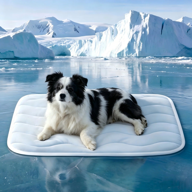 Pet Bed Mat