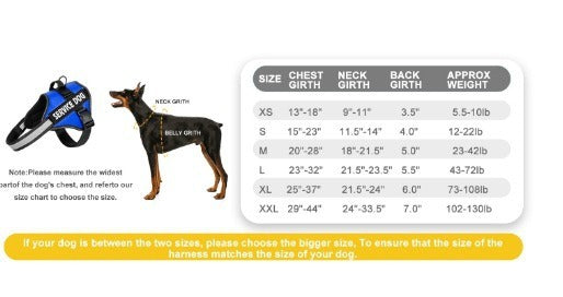 Reflective Dog Harness and Leash Set