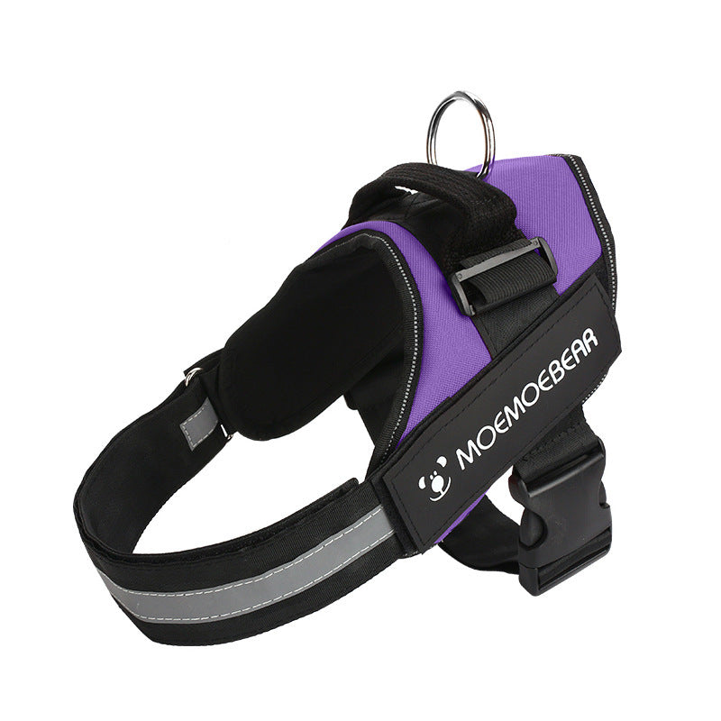 Pet Harness Leash