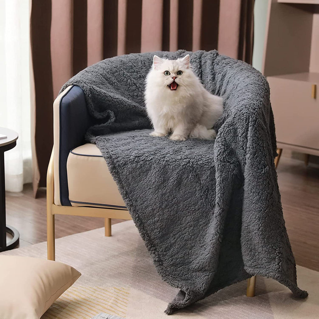 Soft cotton double-sided pet blanket