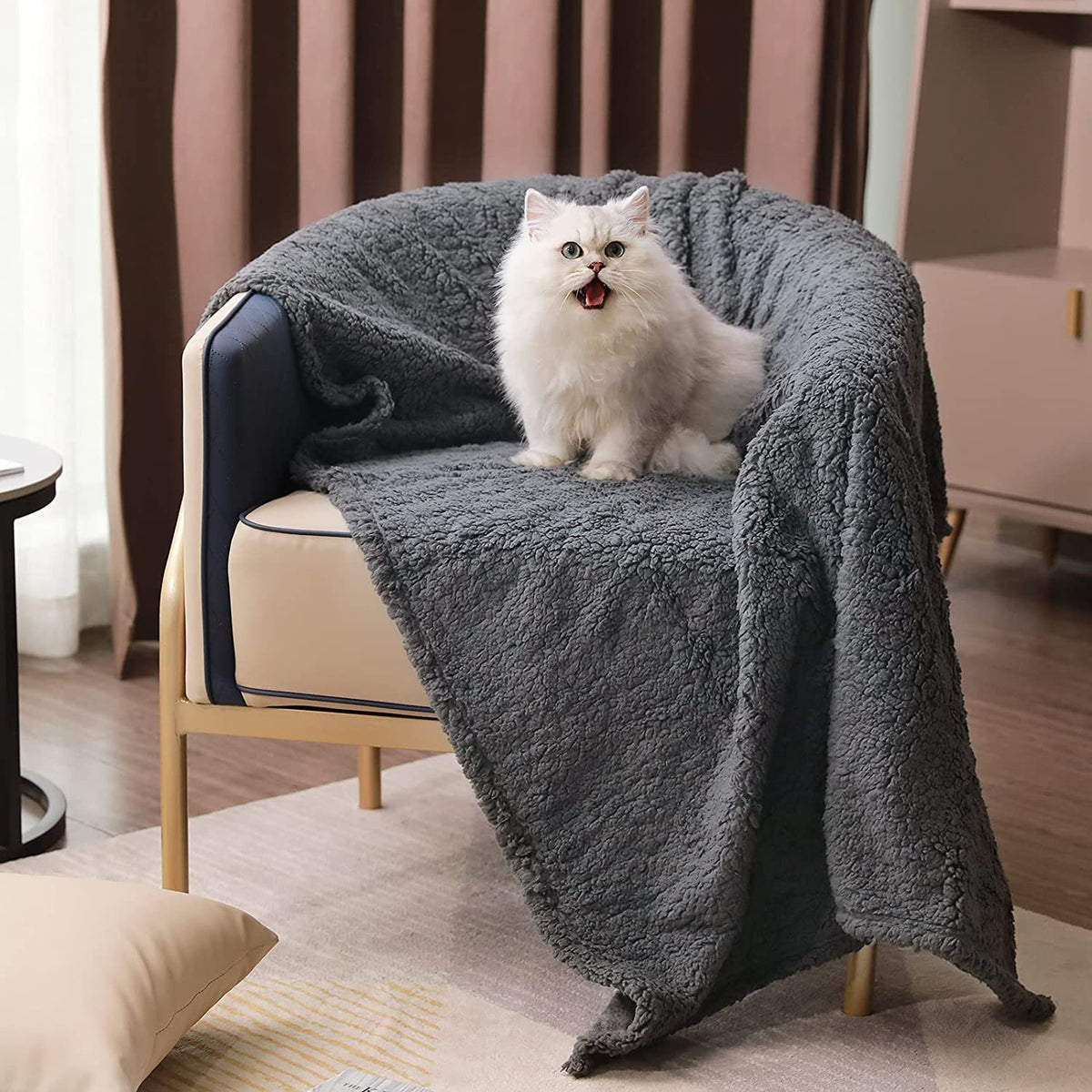 Soft cotton double-sided pet blanket
