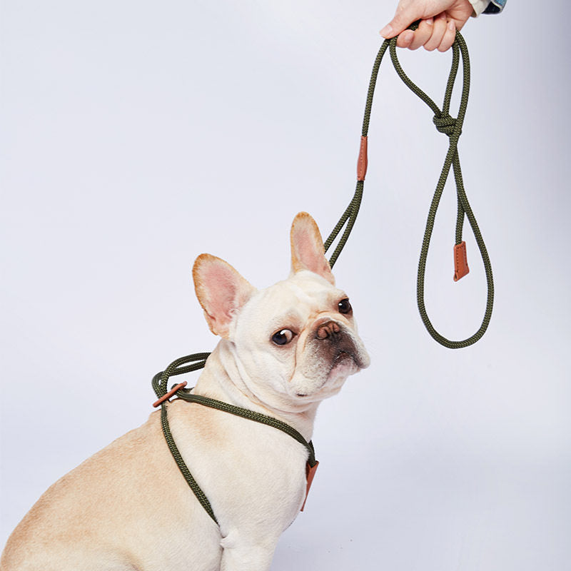 Adjustable Dog Harness and Leash for Walking
